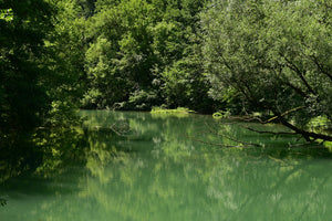 Viatao recherche deux auteur·es passionné·es pour rédiger le prochain Guide Tao Drôme Ardèche